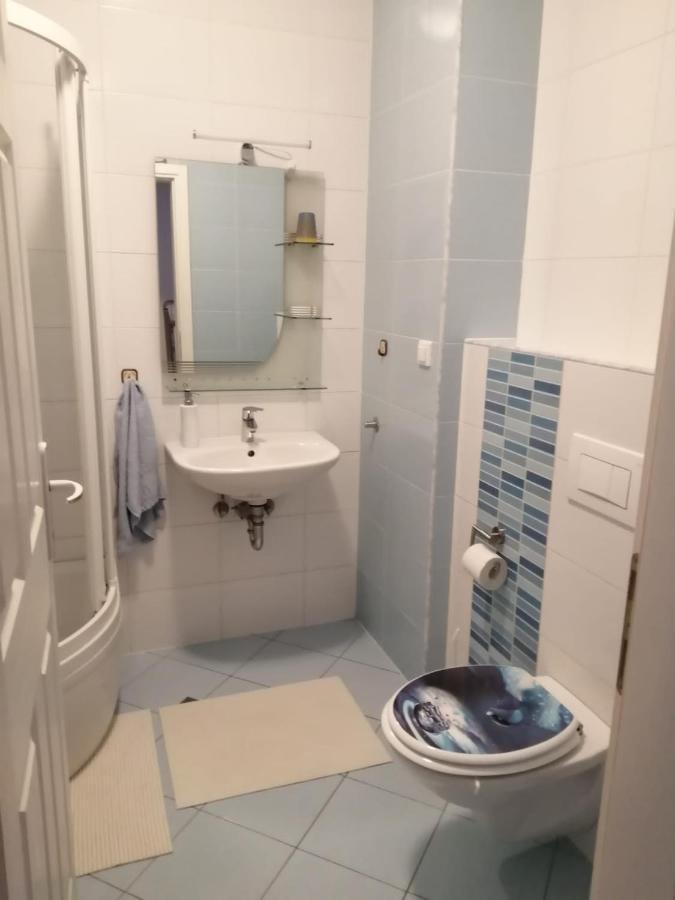 Dora Apartman Krapinske Toplice Kültér fotó